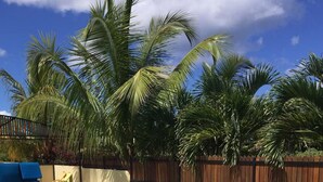 Een zwembad met een houten omheining, palmbomen en een helderblauwe lucht.