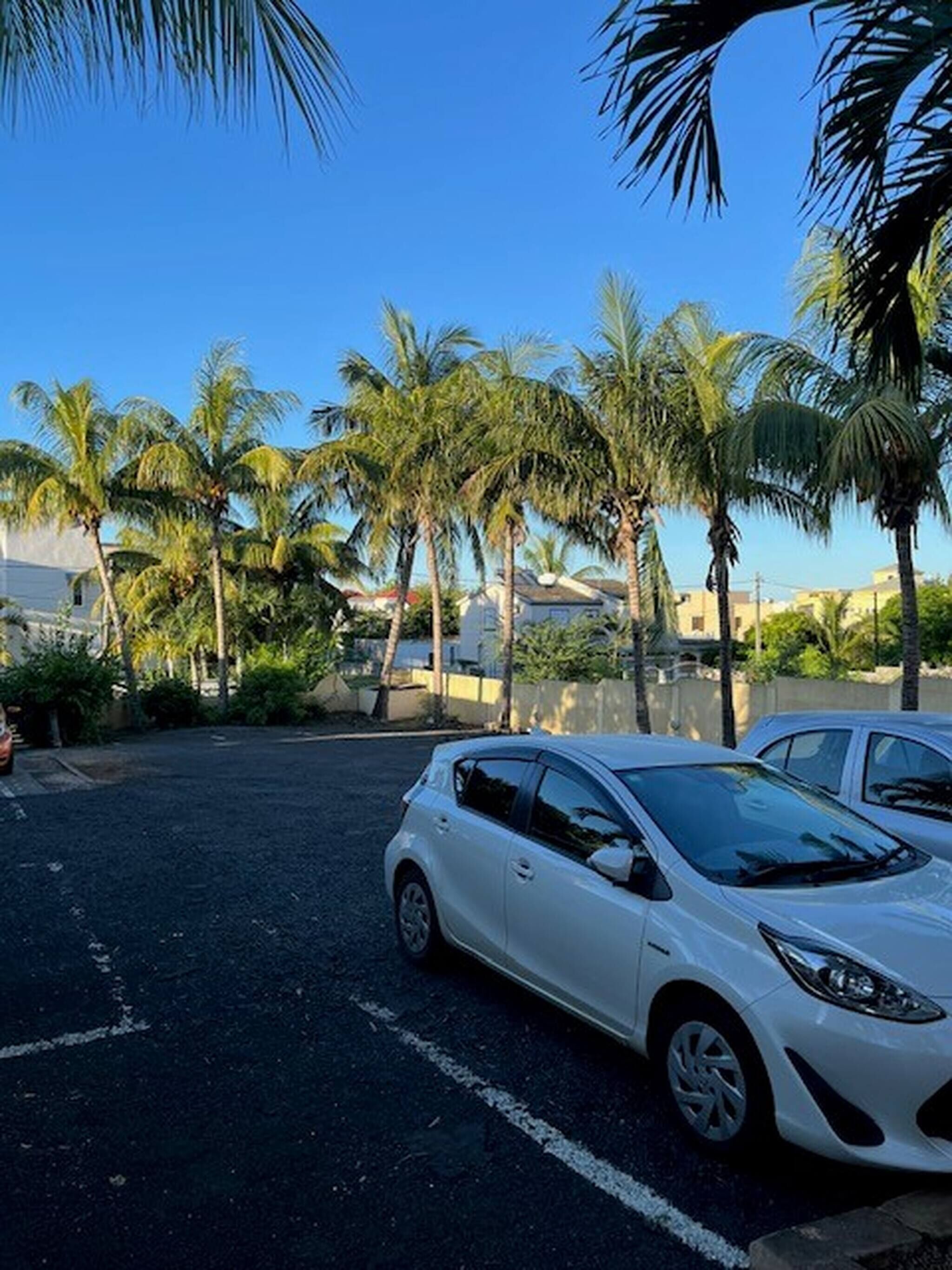 Apartment, 1 Bedroom, Smoking, Balcony | Parking | Limited parking