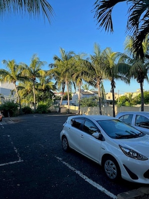 Apartment, 1 Bedroom, Smoking, Balcony | Parking | Limited parking