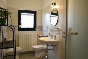Shower, hair dryer, bidet, towels