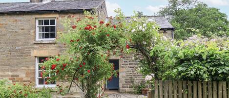 Cottage | Extérieur