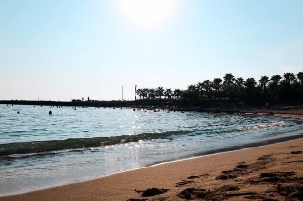 A beach with clear water, a sandy shore, and palm trees in the background.