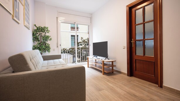 A living room with a sofa, a TV on a stand, a wooden door, and a balcony with plants.