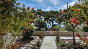 A garden pathway with a stone border, surrounded by various plants and trees.