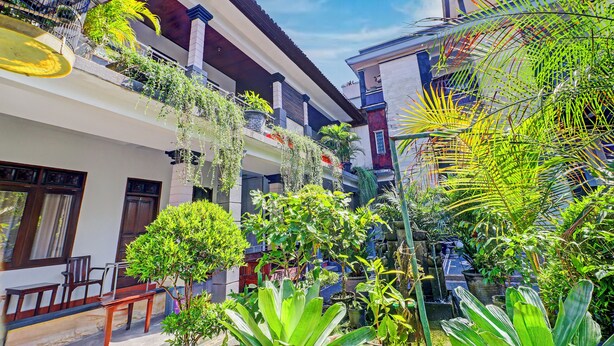 A courtyard with potted plants, a wooden bench, and a hanging birdcage.