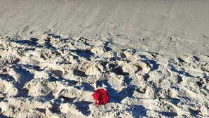A sandy beach with a single red object in the foreground. - 700 m from the beach, affordable and elegant. We are family and pet friendly (Heringsdorf)