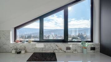 Family Apartment, Balcony, City View | Private kitchen | Electric kettle, toaster