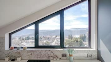 Family Apartment, Balcony, City View | Private kitchen | Electric kettle, toaster