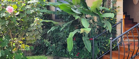 Detalle del exterior