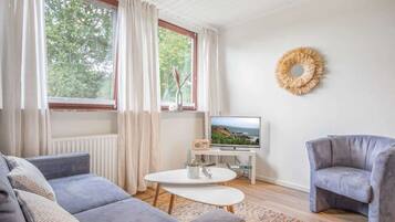 Fernseher, Arbeitsbereiche