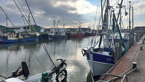 A harbor with several fishing boats docked, a pier with numbered bollards, and a cloudy sky. - Bright apartment at the Family Lagoon w/ balcony (Büsum)