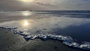 A beach with waves gently lapping at the shore under a clear sky. - Strandhütte direkt am Leuchtturm und Strand in SPO (Sankt Peter-Ording)