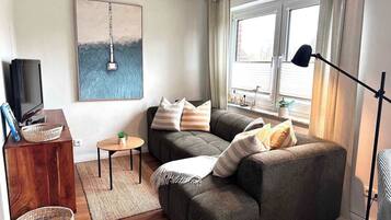 Fernseher, Arbeitsbereiche