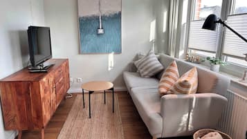 Fernseher, Arbeitsbereiche