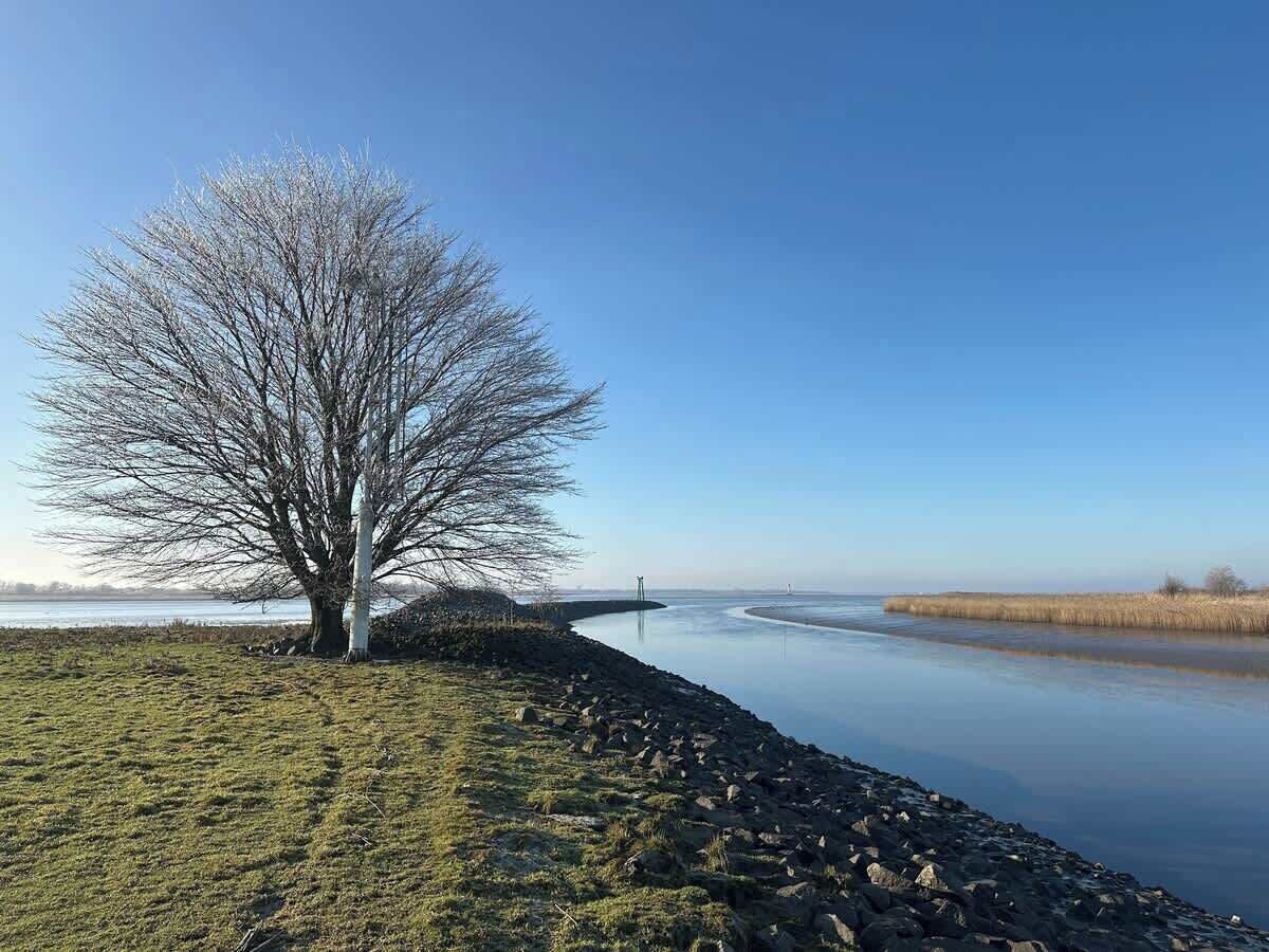 A calm river with a tree on the left and a bridge in the distance.