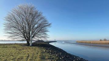 A calm river with a tree on the left and a bridge in the distance.