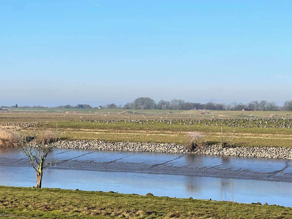 Ländliche Landschaft mit einem Gewässer, einem Baum und Feldern.