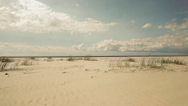 A sandy beach with sparse vegetation and a cloudy sky. - Zentrale Wohnung mit Terrasse & Boxspringbett (Sankt Peter-Ording)
