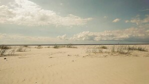 A sandy beach with sparse vegetation and a cloudy sky.