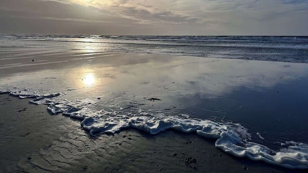 A beach with waves gently lapping at the shore under a clear sky. - Quiet, comfortable apartment near the beach (Sankt Peter-Ording)