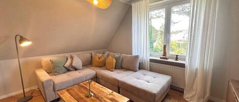 Fernseher, Arbeitsbereiche