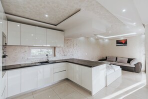 Penthouse, ban công, quang cảnh thành phố | Bếp riêng | Tủ lạnh 