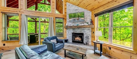 Télévision, cheminée