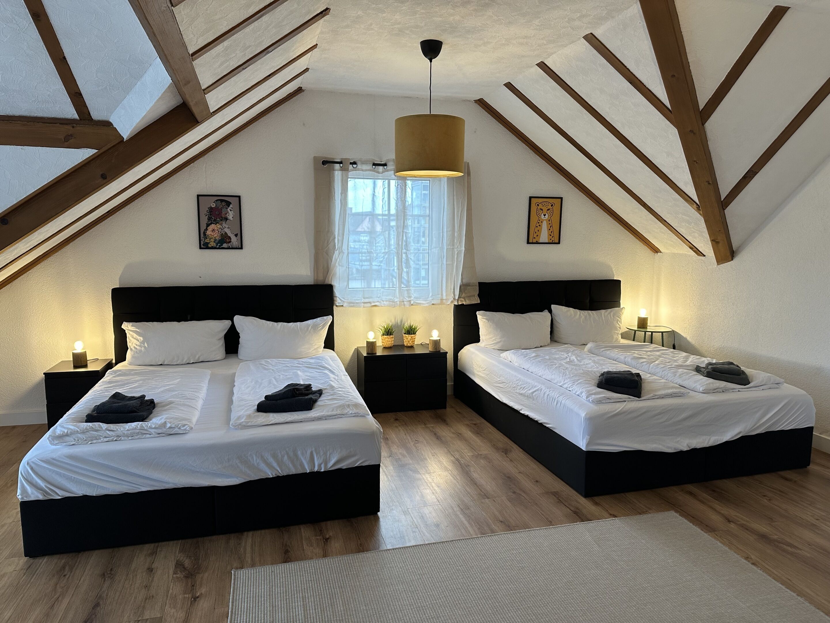 Basic Apartment, Private Bathroom (1) | Iron/ironing board, free WiFi