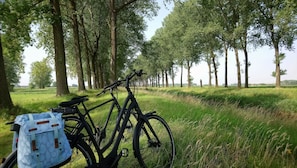 Bicycling