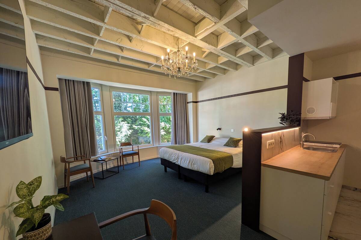 A hotel room with a bed, a desk, a chair, a small table with a plant, a window with curtains, and a chandelier.