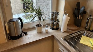 A kitchen with a kettle, a potted plant, spice containers, a paper towel holder, and a sink with a yellow sponge.