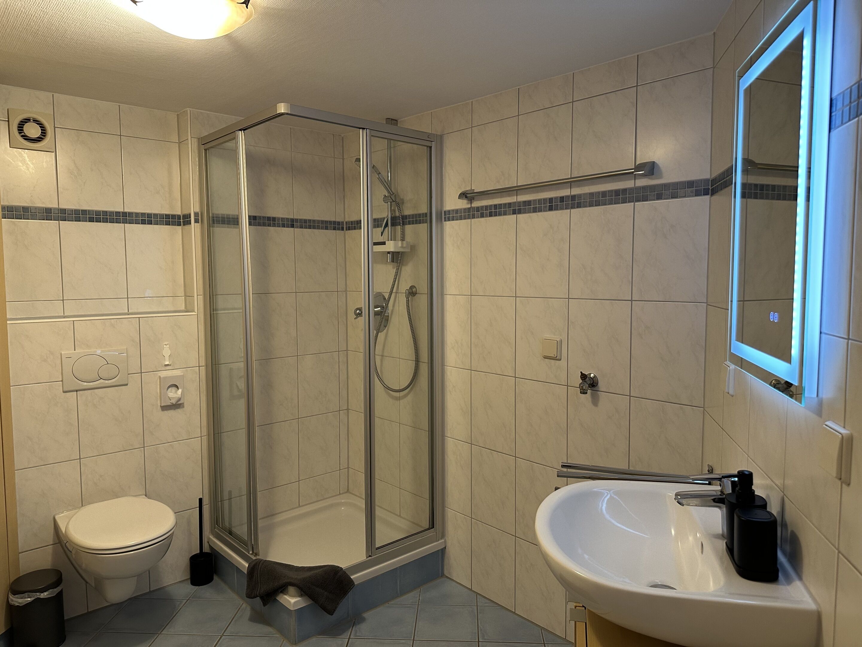 A bathroom with a glass-enclosed shower, a toilet, a sink, and a mirror.