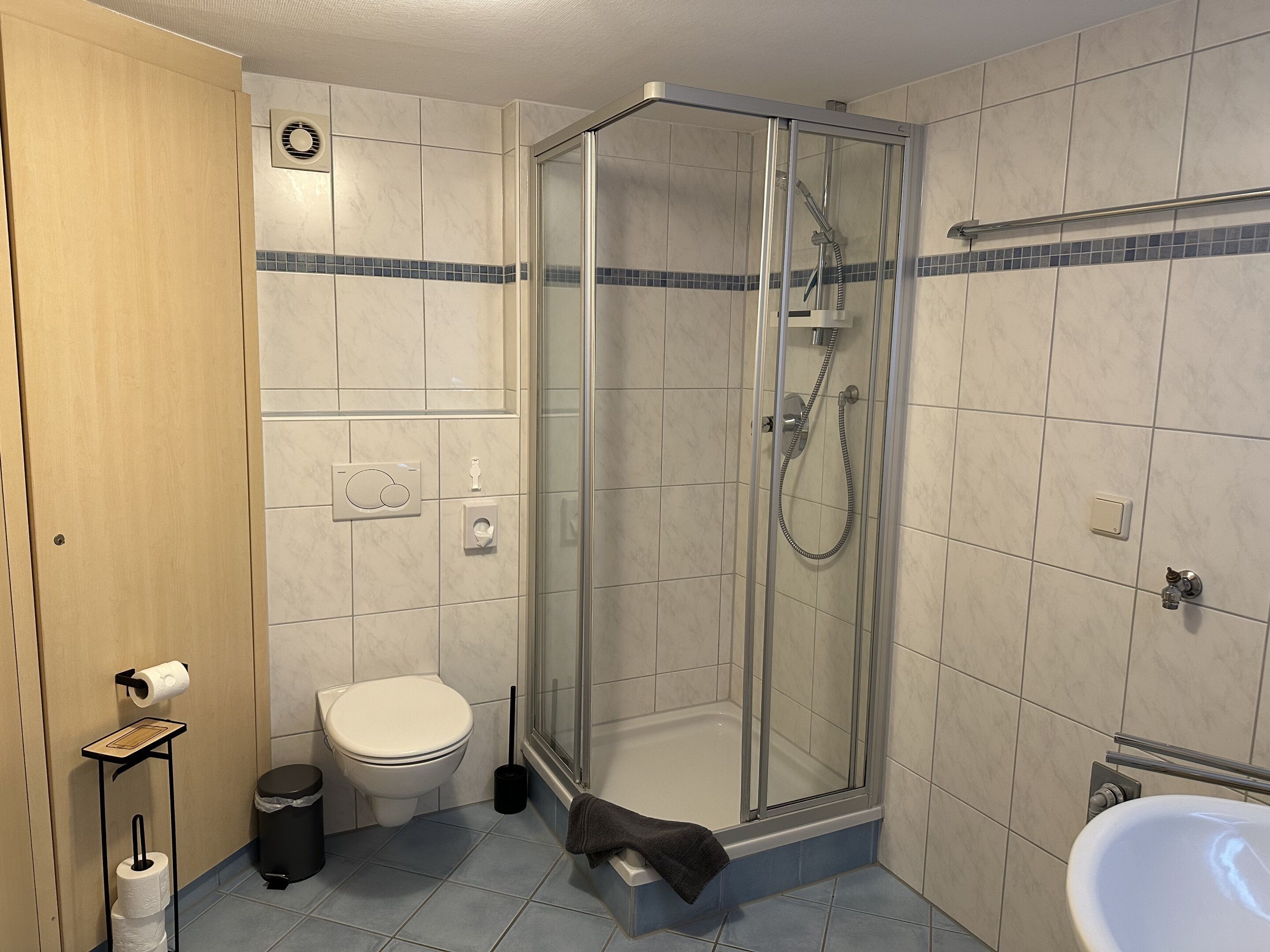 A bathroom with a glass-enclosed shower, a toilet, a sink, and a towel rack.