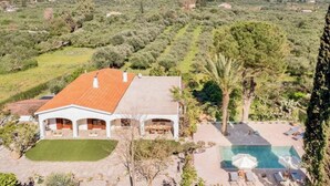 A house with a swimming pool, surrounded by olive groves and a mountainous backdrop.