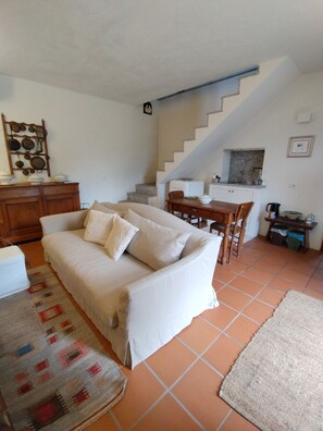Chimenea, reproductor de DVD y libros 