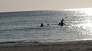 Una playa con gente nadando en el agua.