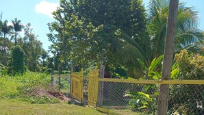 Un espacio al aire libre cercado con césped, una puerta de madera y diversas plantas y árboles.