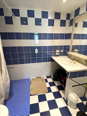 Sèche-cheveux, serviettes fournies, papier toilette