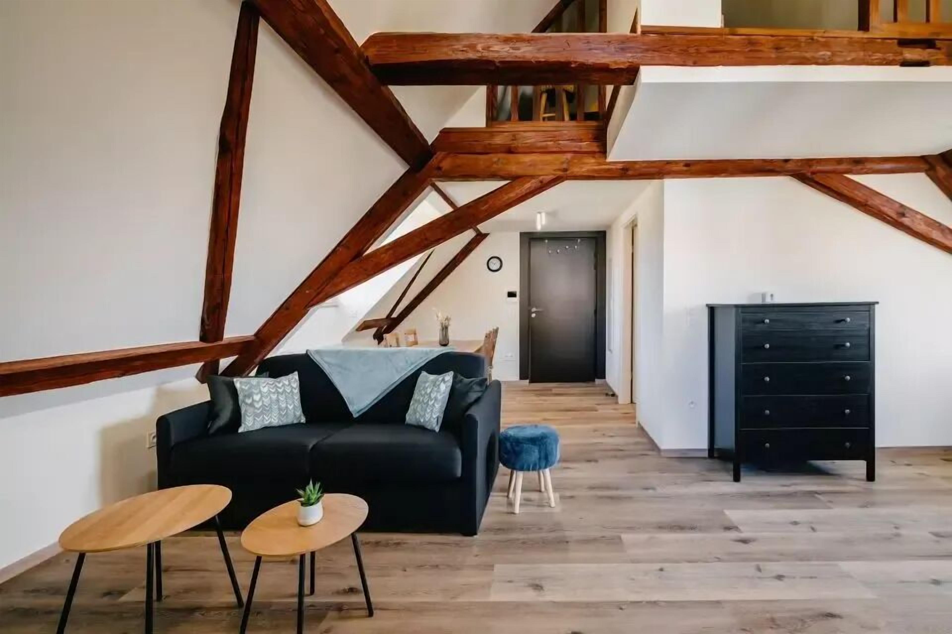 ベーシック アパートメント パティオ | リビング エリア | テレビ