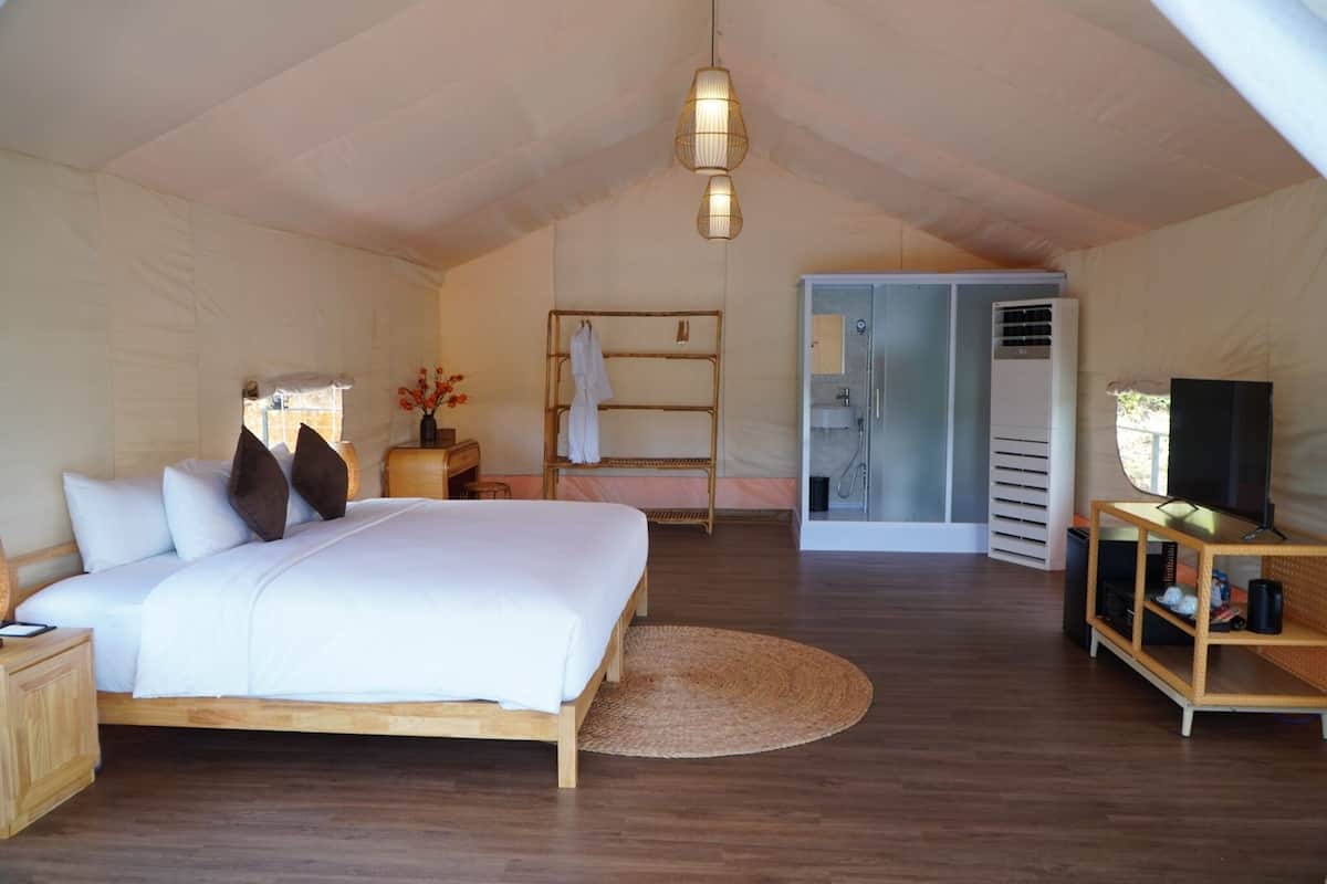 A bedroom with a wooden bed, a bedside table, a TV stand, and a walk-in closet.