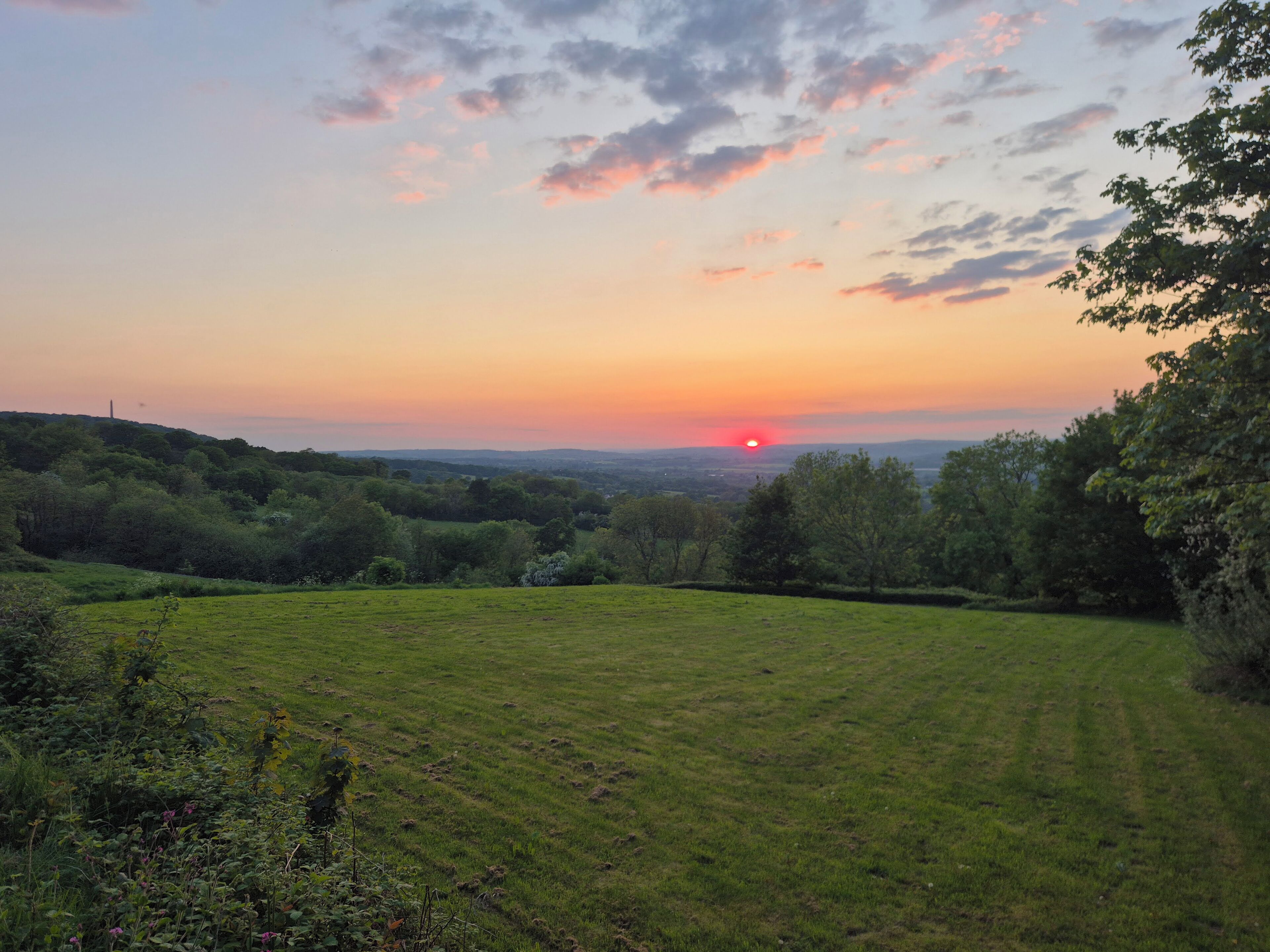 A grassy field with a sunset in the distance.