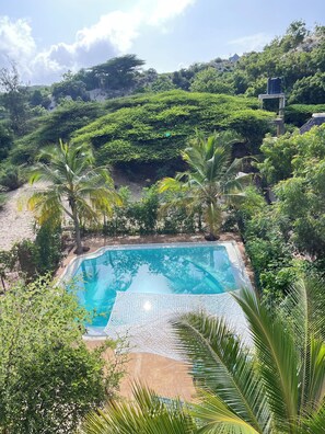 Relax by the serene pool surrounded by lush greenery and tropical plants.
