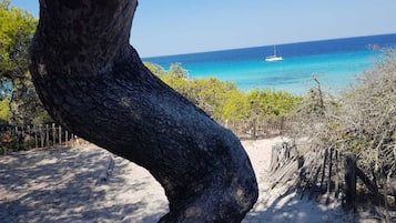 Plage à proximité