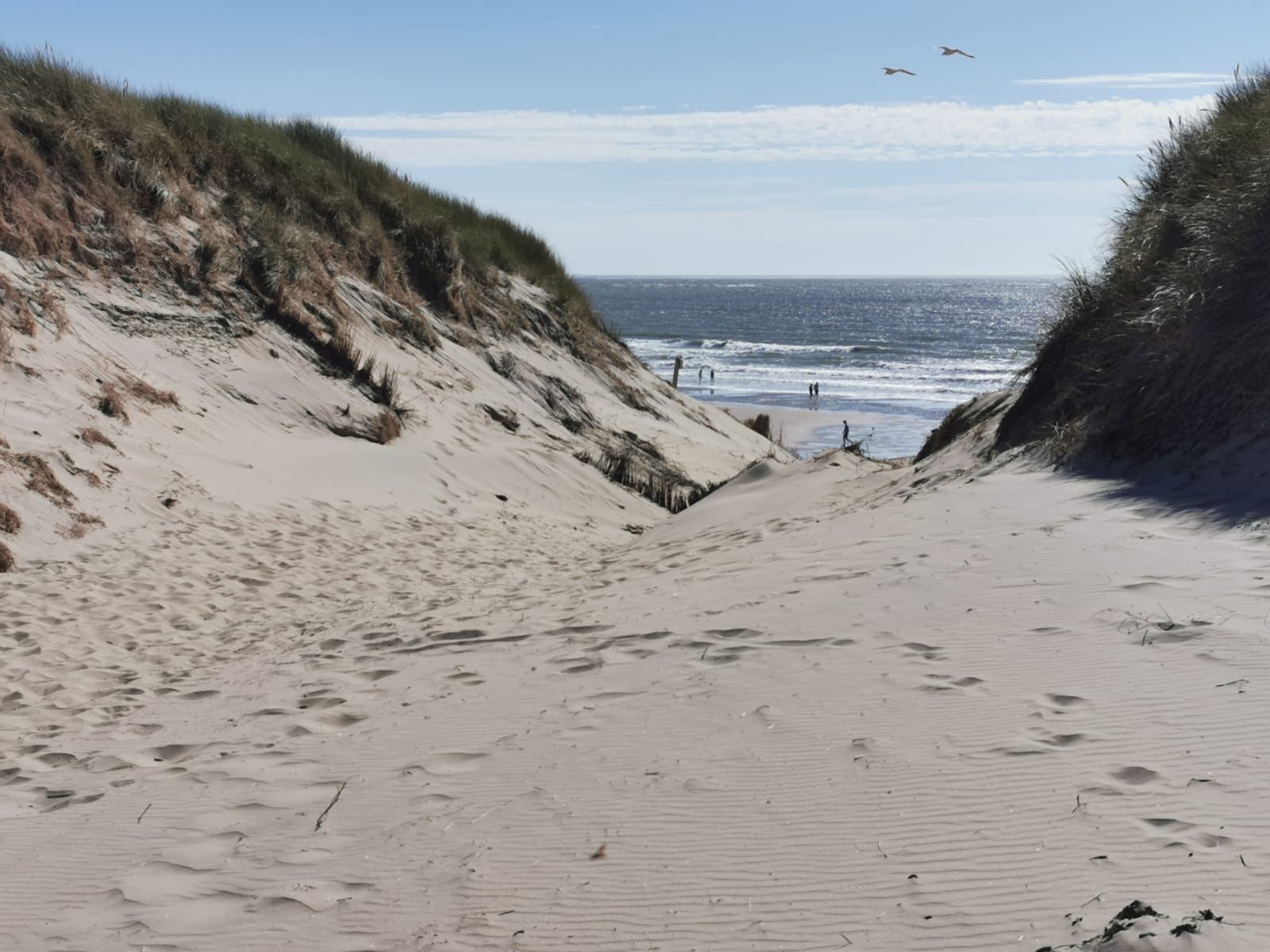 Nära stranden och solstolar