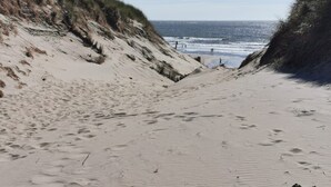 Ein Sandstrand mit Dünen und dem Meer im Hintergrund.