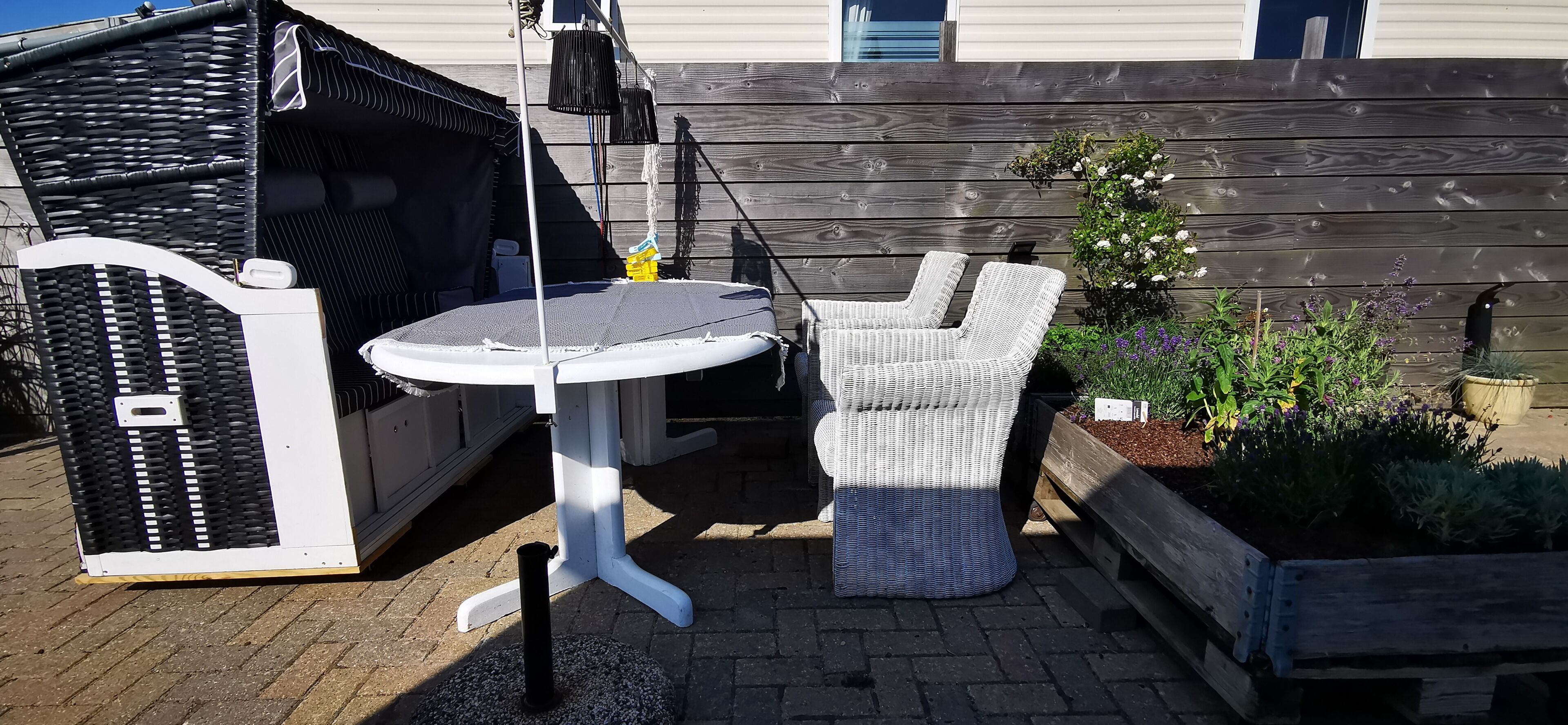 Terras