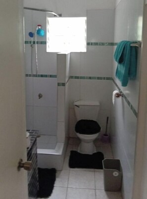 Regadera, toallas, jabón, shampoo 