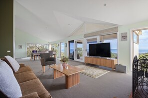 Smart TV, fireplace, books