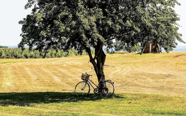 Bicycling