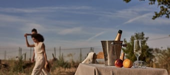 Elements Suites